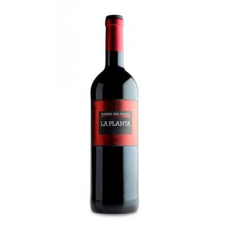 LA PLANTA
